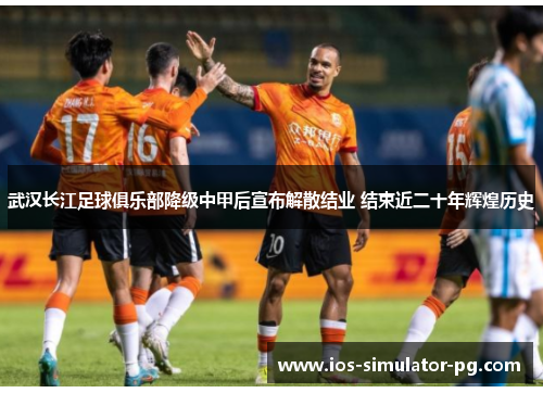 武汉长江足球俱乐部降级中甲后宣布解散结业 结束近二十年辉煌历史 武汉长江足球俱乐部降级中甲后宣布解散结业 结束近二十年辉煌历史