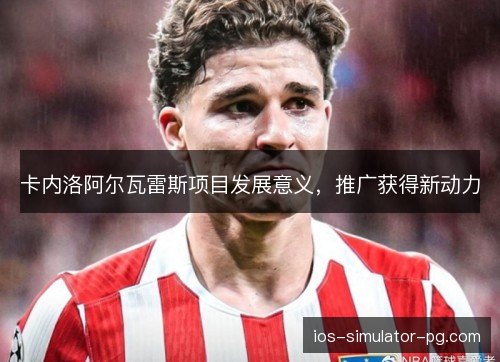 卡内洛阿尔瓦雷斯项目发展意义，推广获得新动力