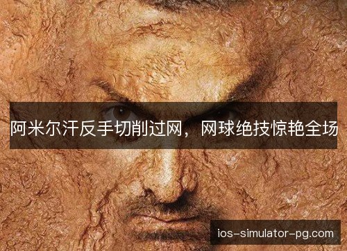 阿米尔汗反手切削过网,网球绝技惊艳全场 阿米尔汗反手切削过网,网球绝技惊艳全场